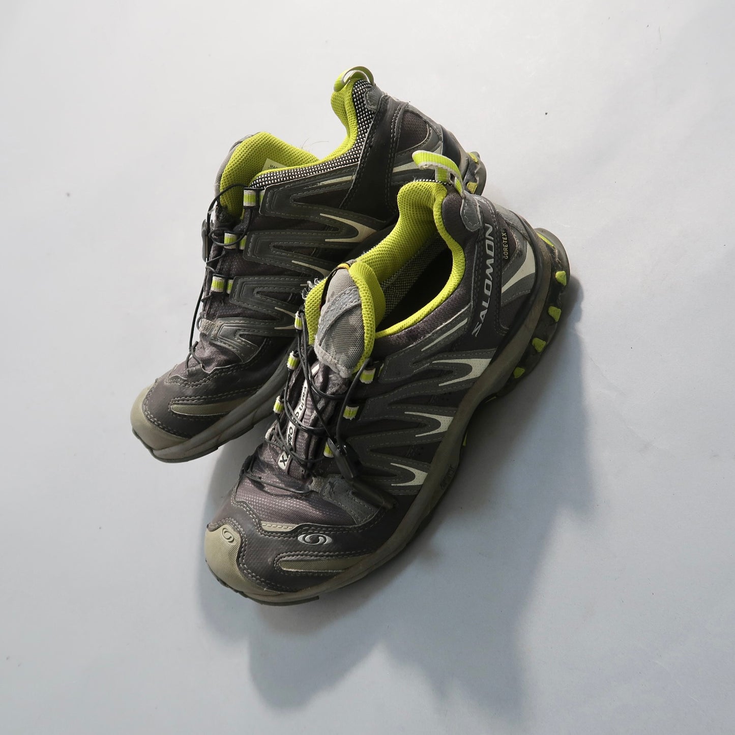 Salomon shoes