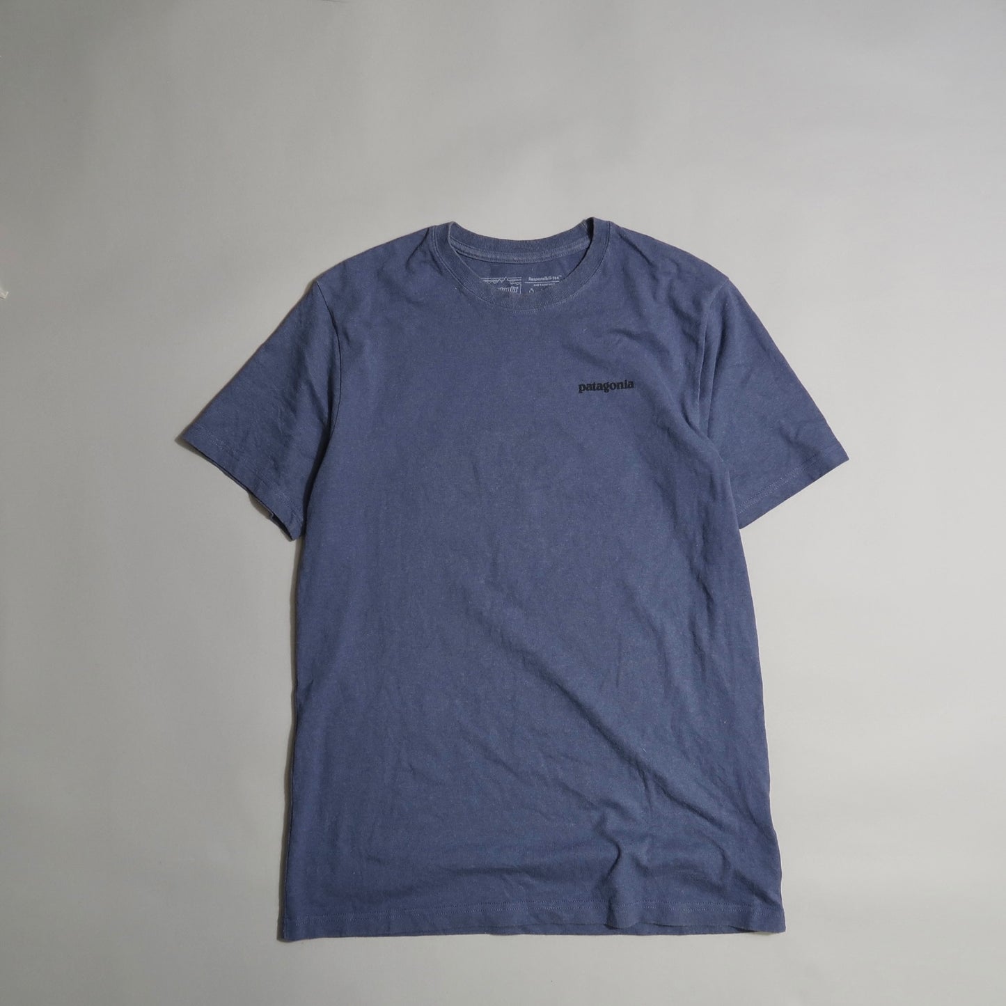 Patagonia t shirt
