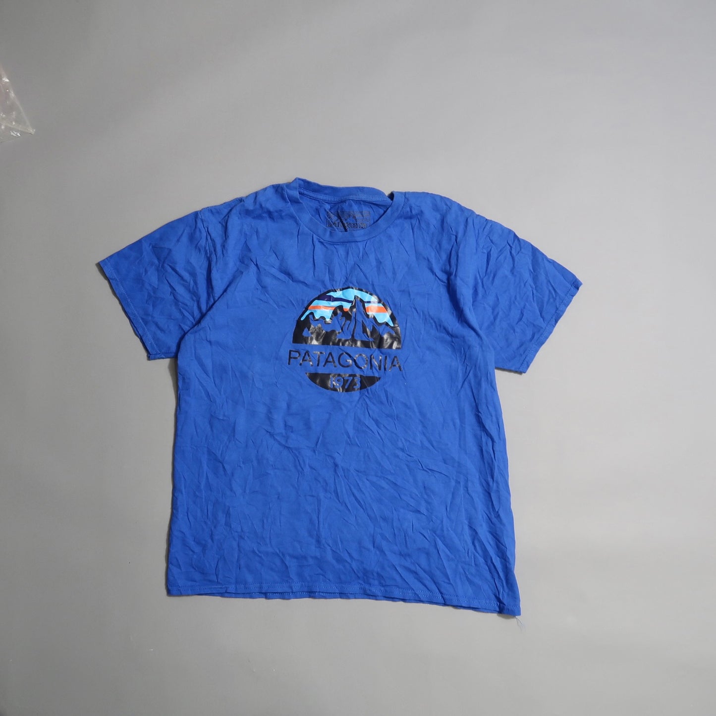 Blue T-shirt with a Patagonia logo and mountain design.