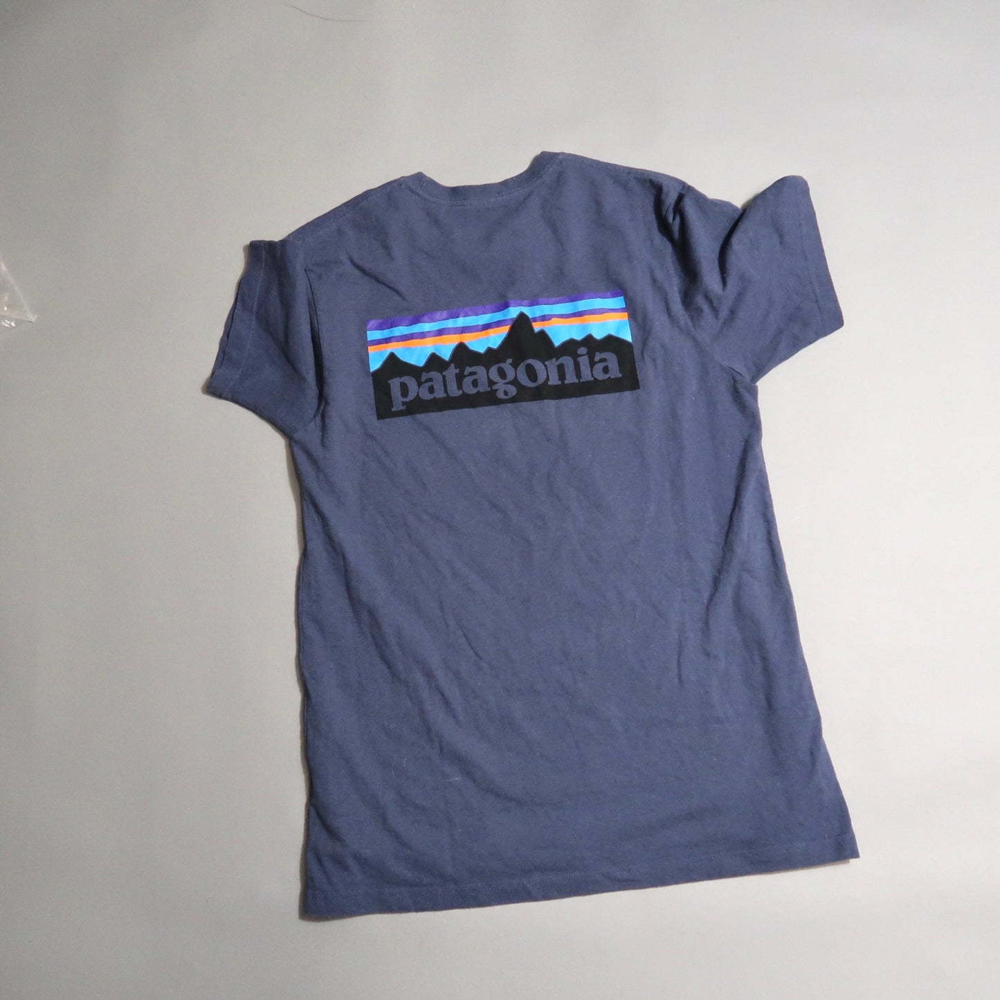 Patagonia t shirt