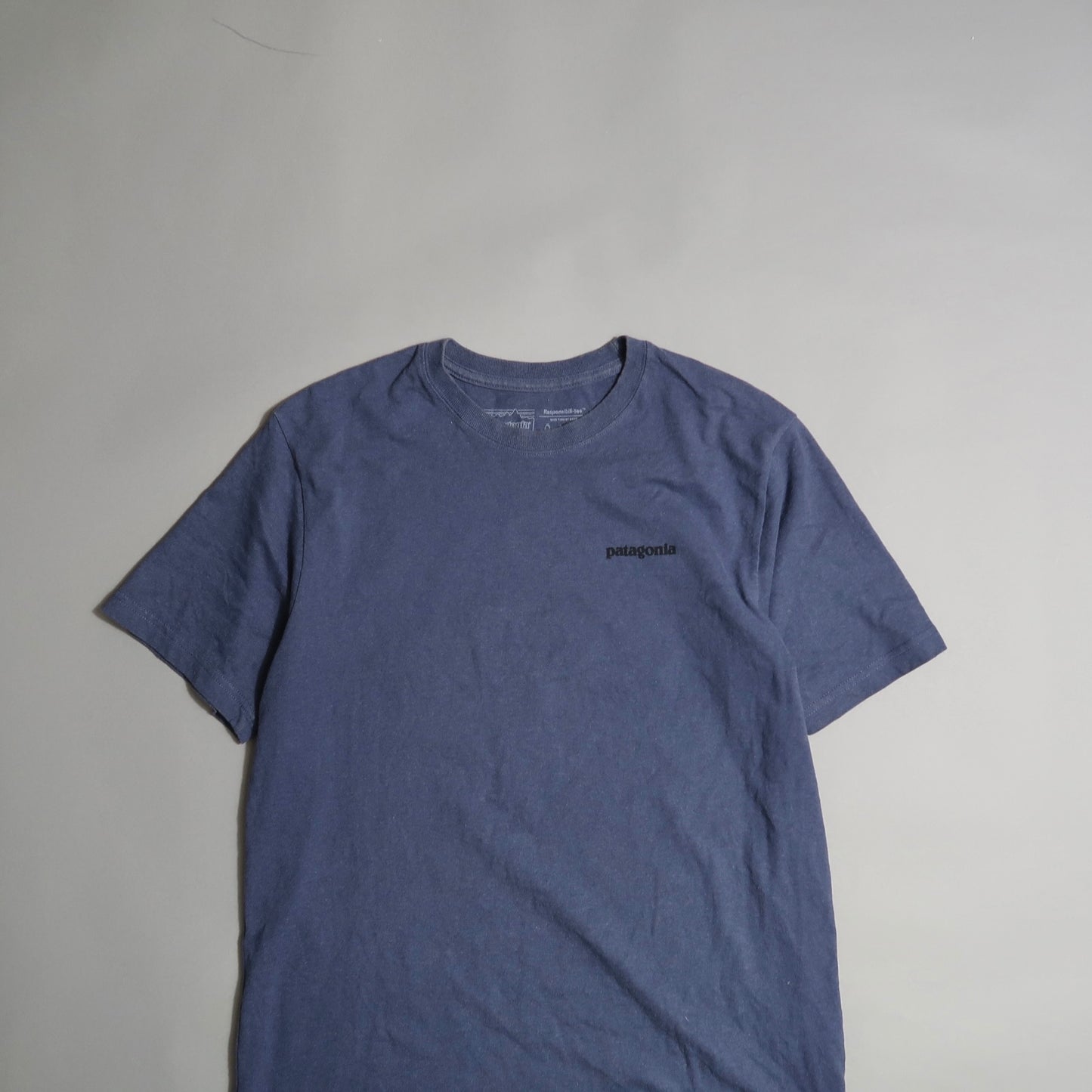 Patagonia t shirt