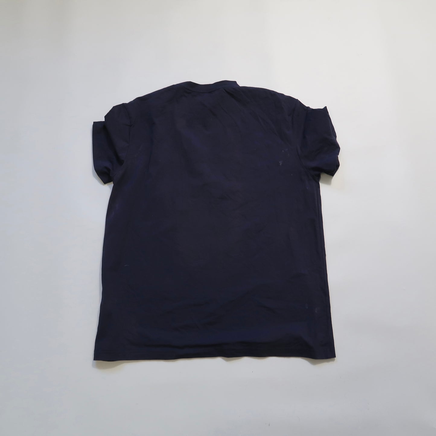 Arcterryx tshirt (sun faded)