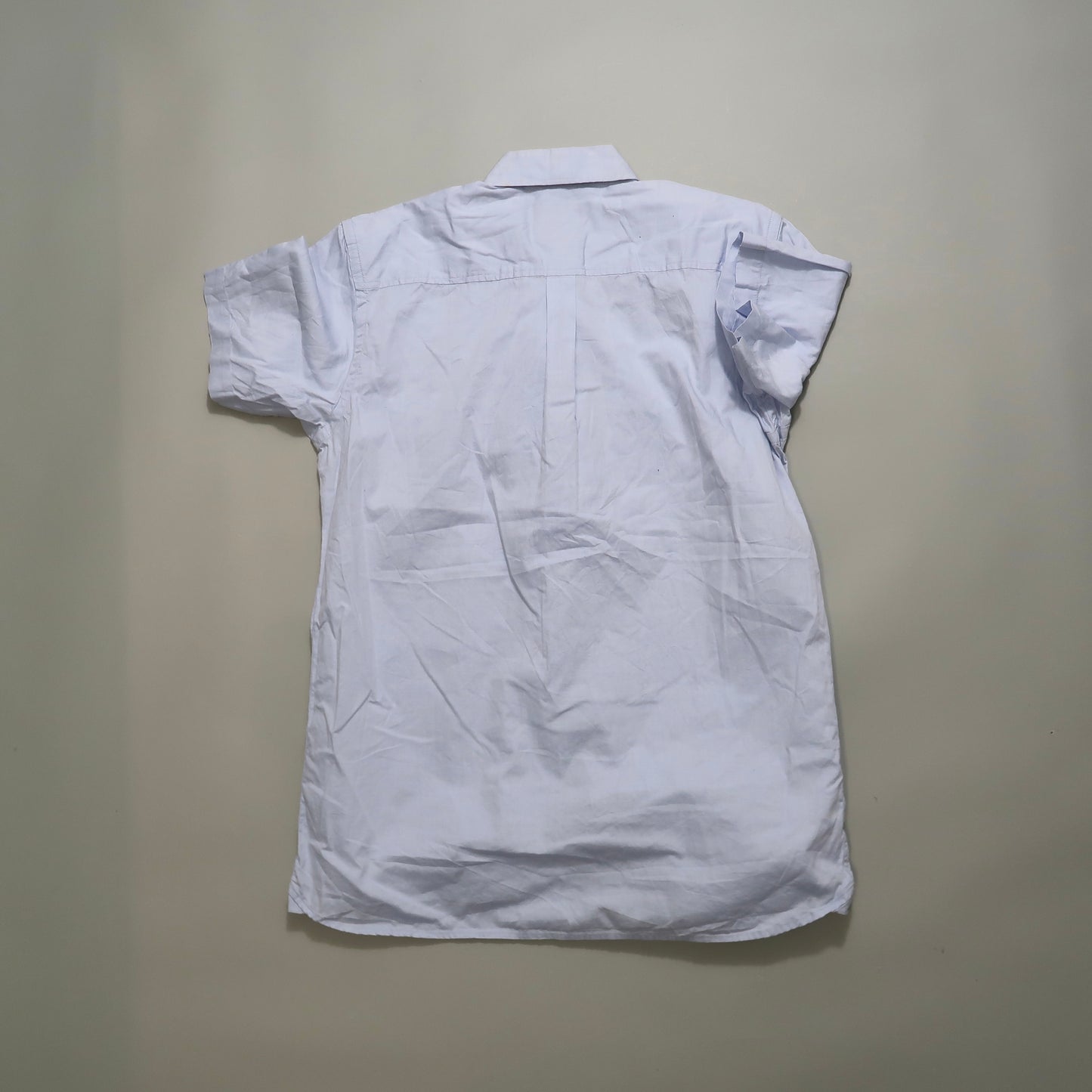 Dickies shirt
