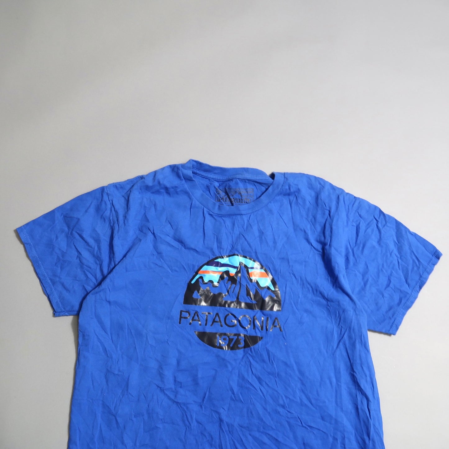 Blue Patagonia T-shirt with mountain logo design.