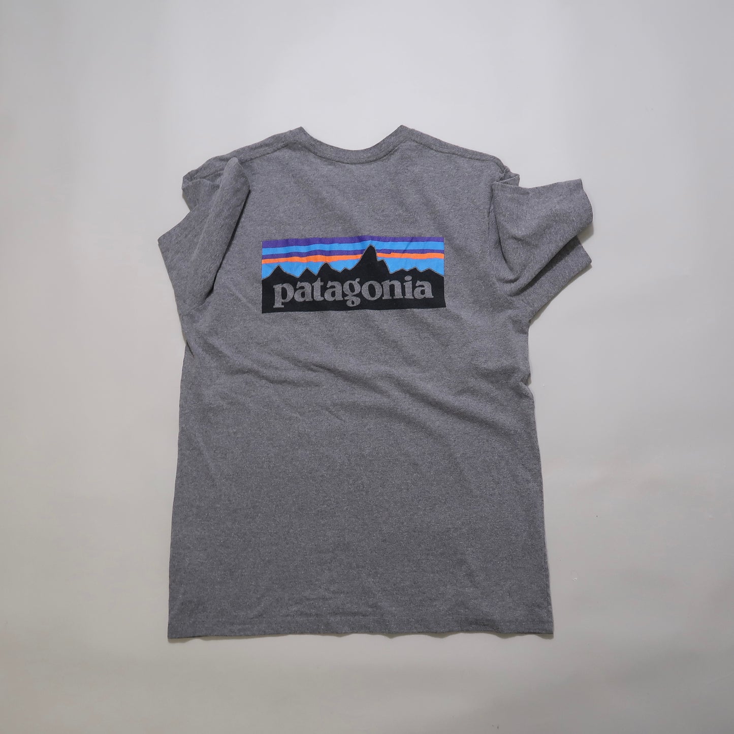 Patagonia tshirt