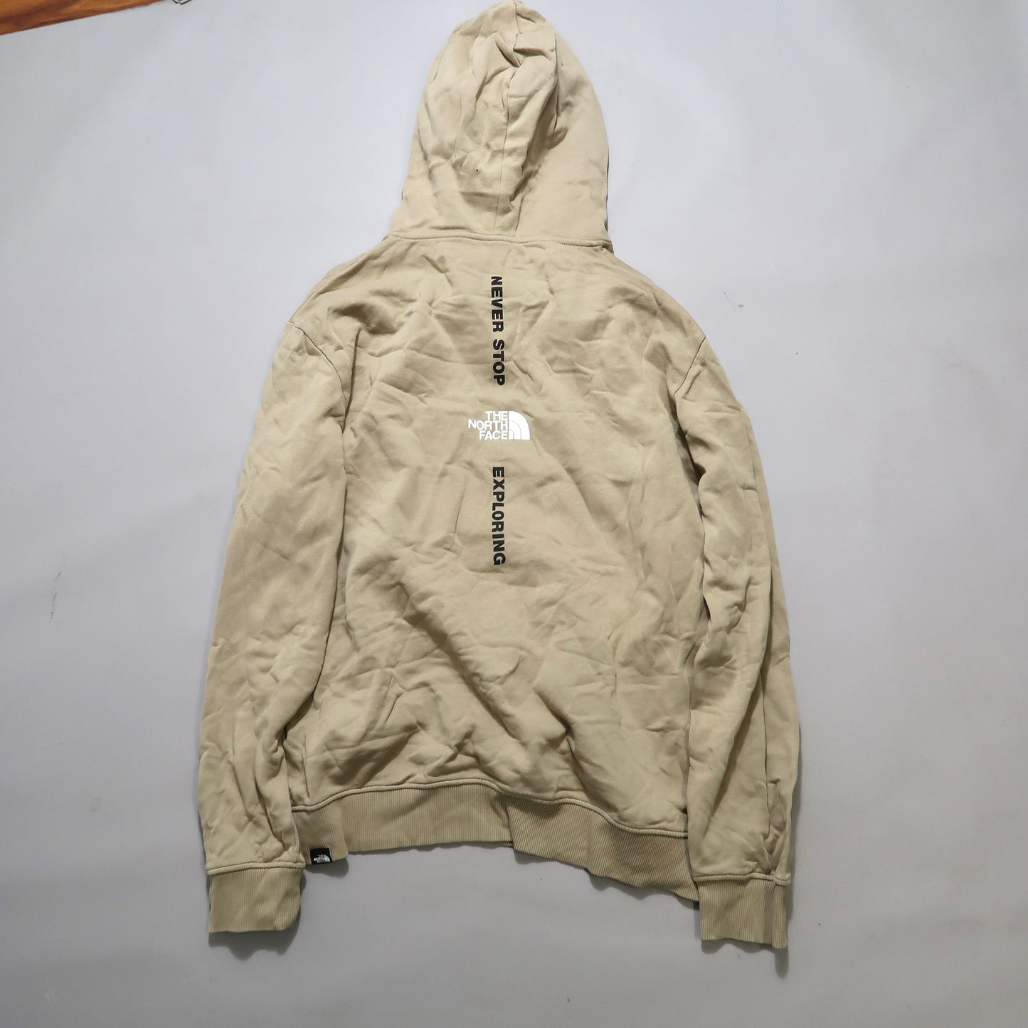 TNF hoodie