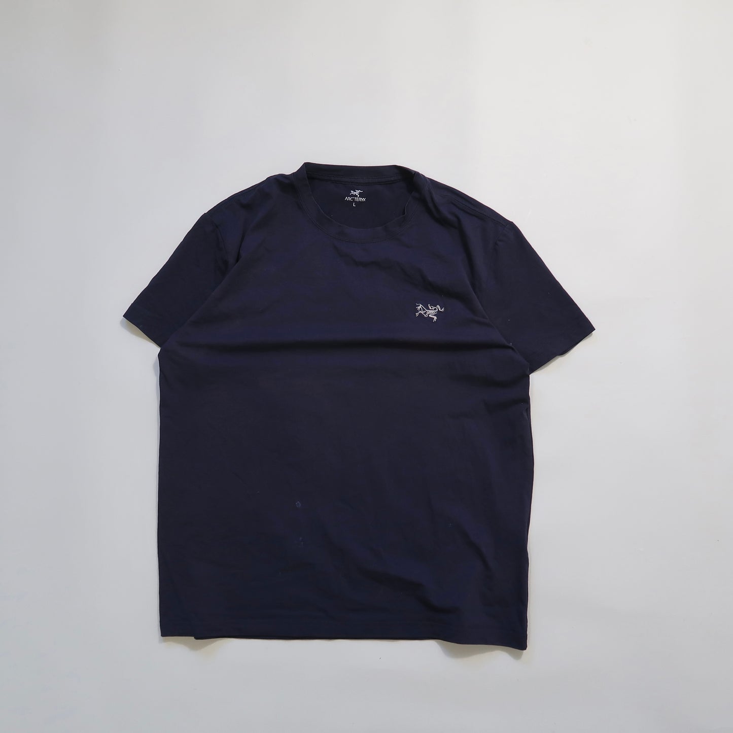 Arcterryx tshirt (sun faded)
