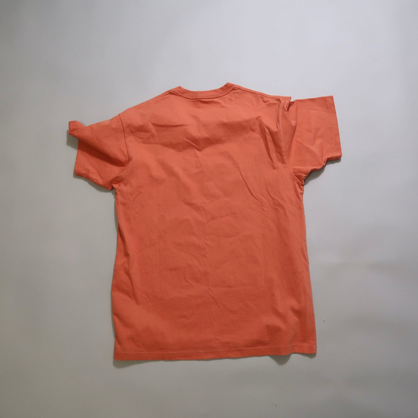 Carhartt tshirt