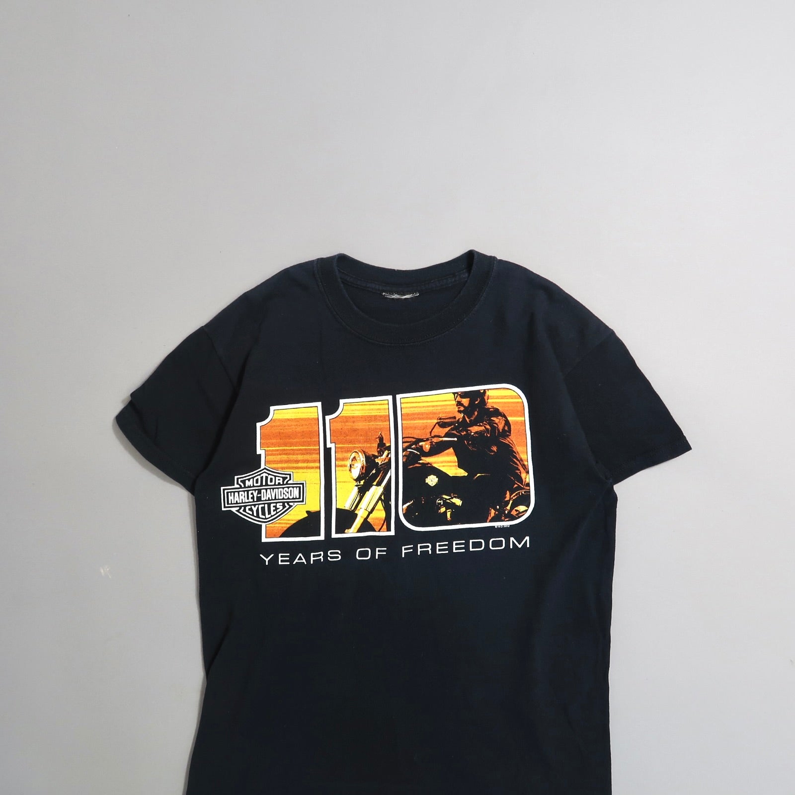 Black Harley-Davidson T-shirt with null110 Years of Freedomnull design.