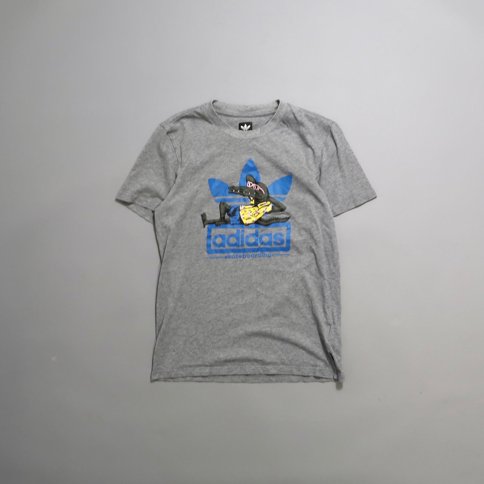Gray Adidas t-shirt with blue logo and character graphic.