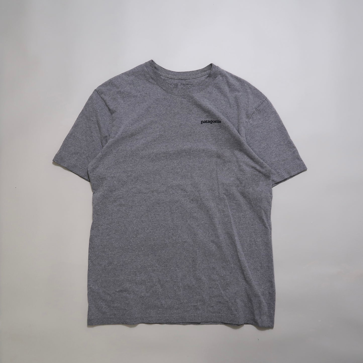 Patagonia tshirt