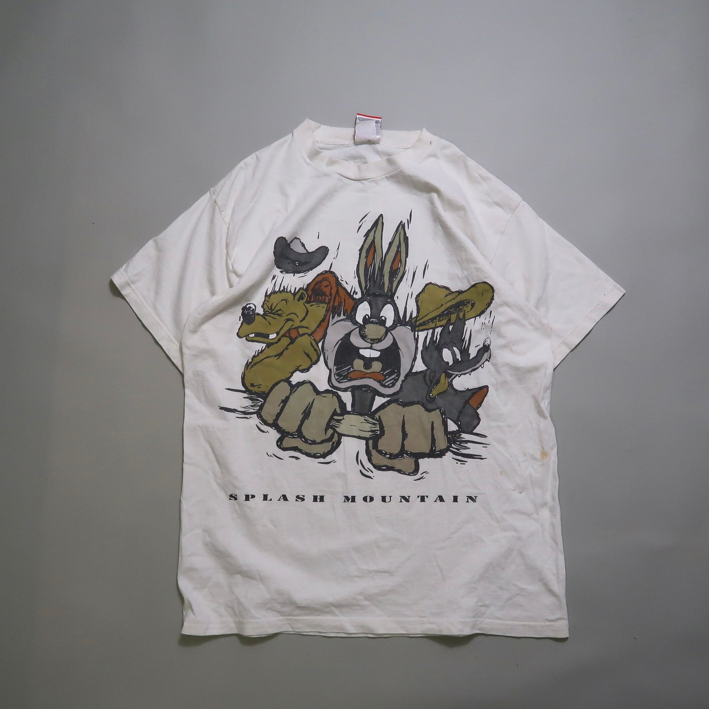 Splash Mountain Vintage tshirt