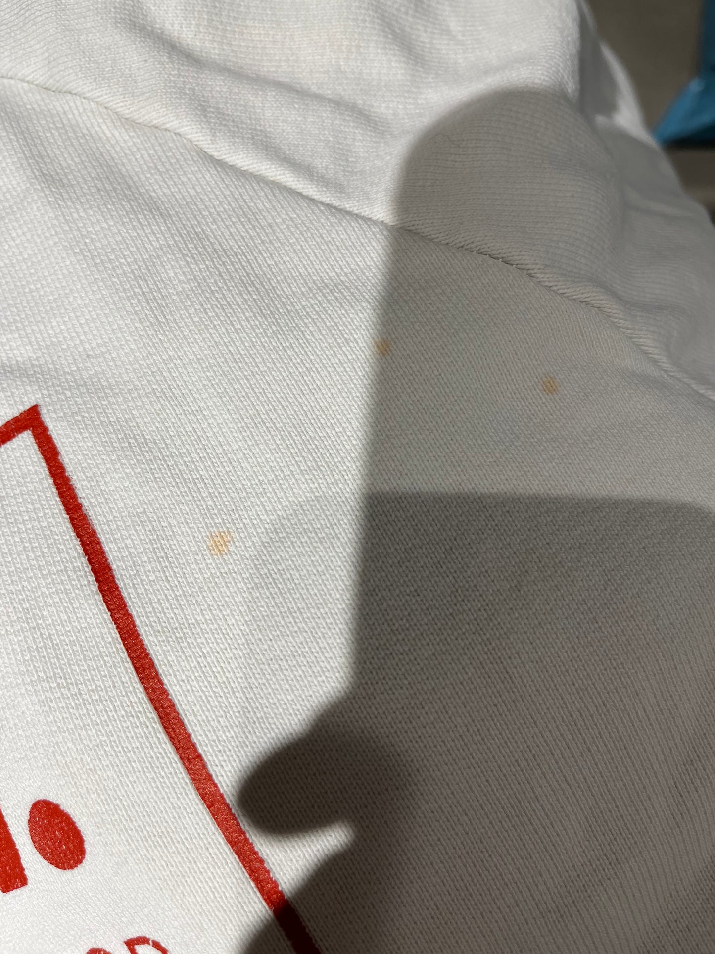 Champion x WoodWood hoodie (damages attached)