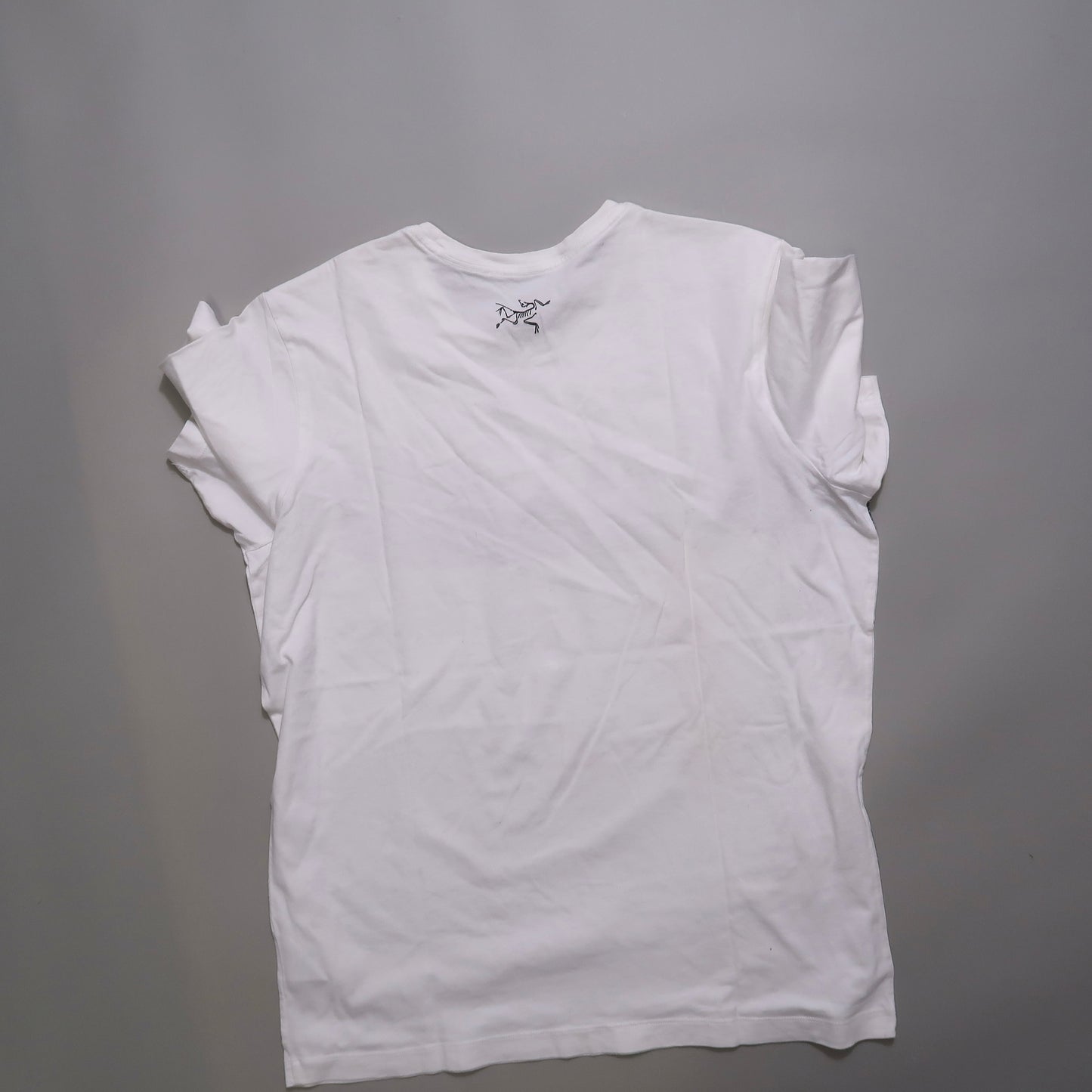 Arcterryx tshirt