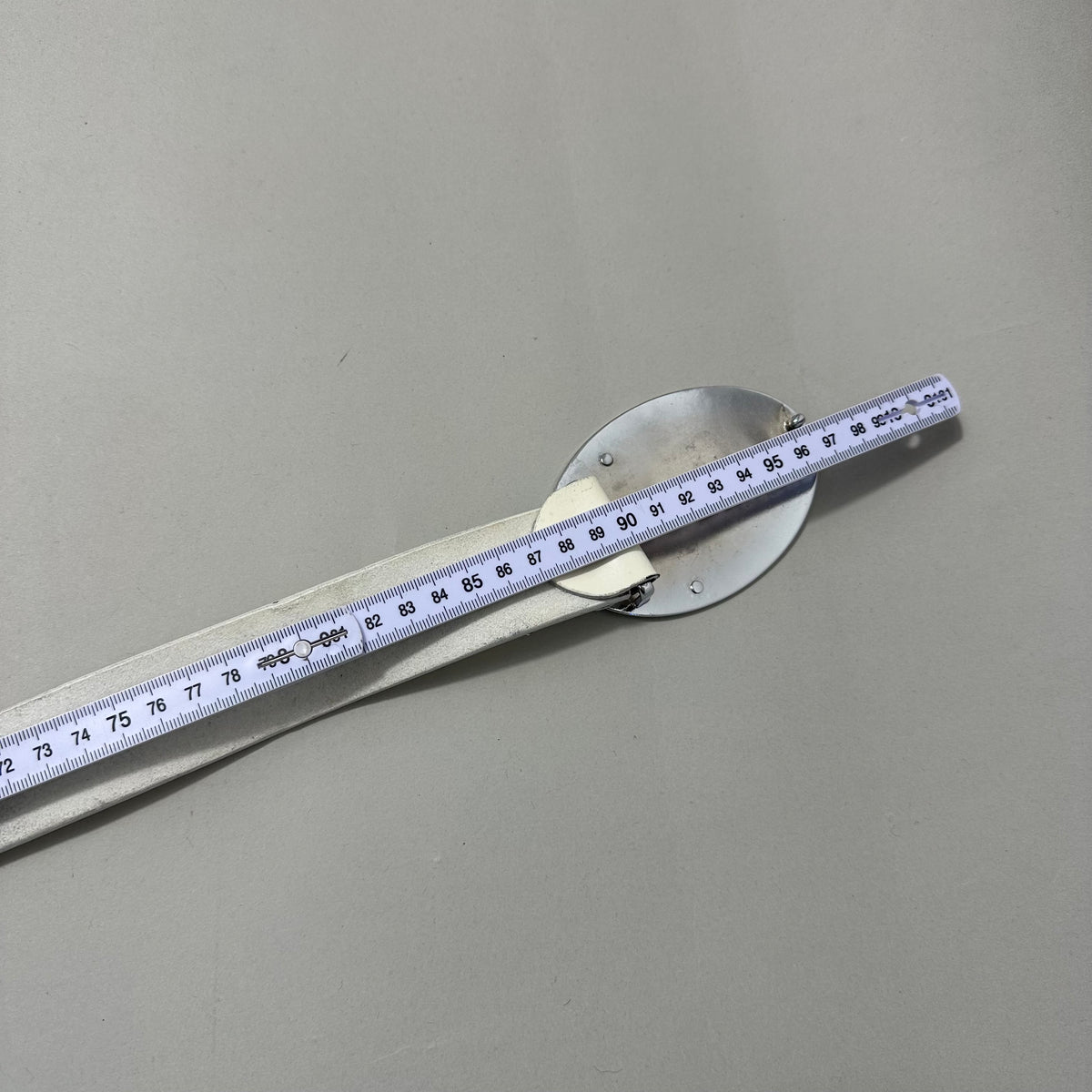 D&G belt