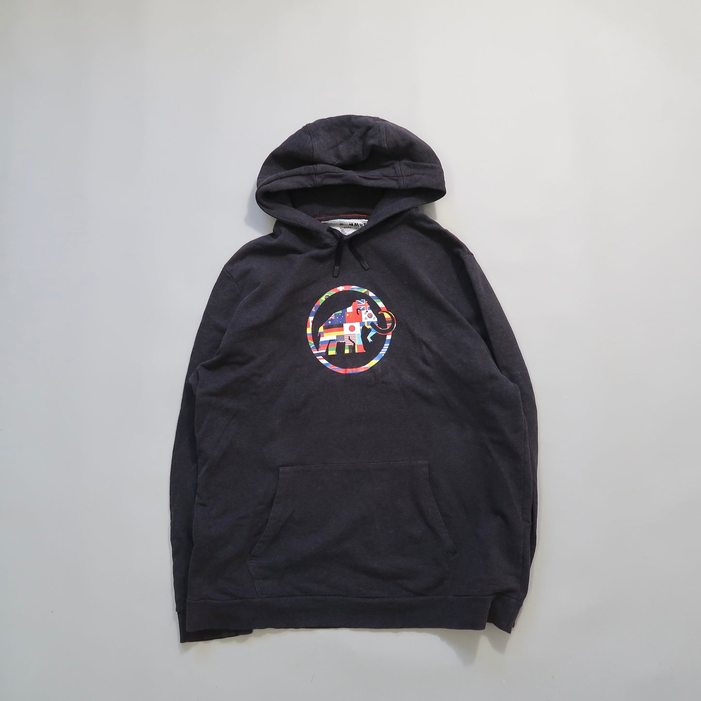 Mammut hoodie
