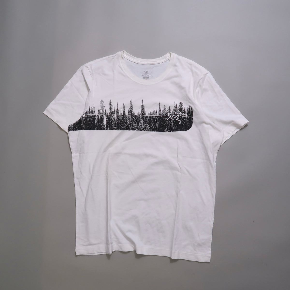 Arcterryx tshirt