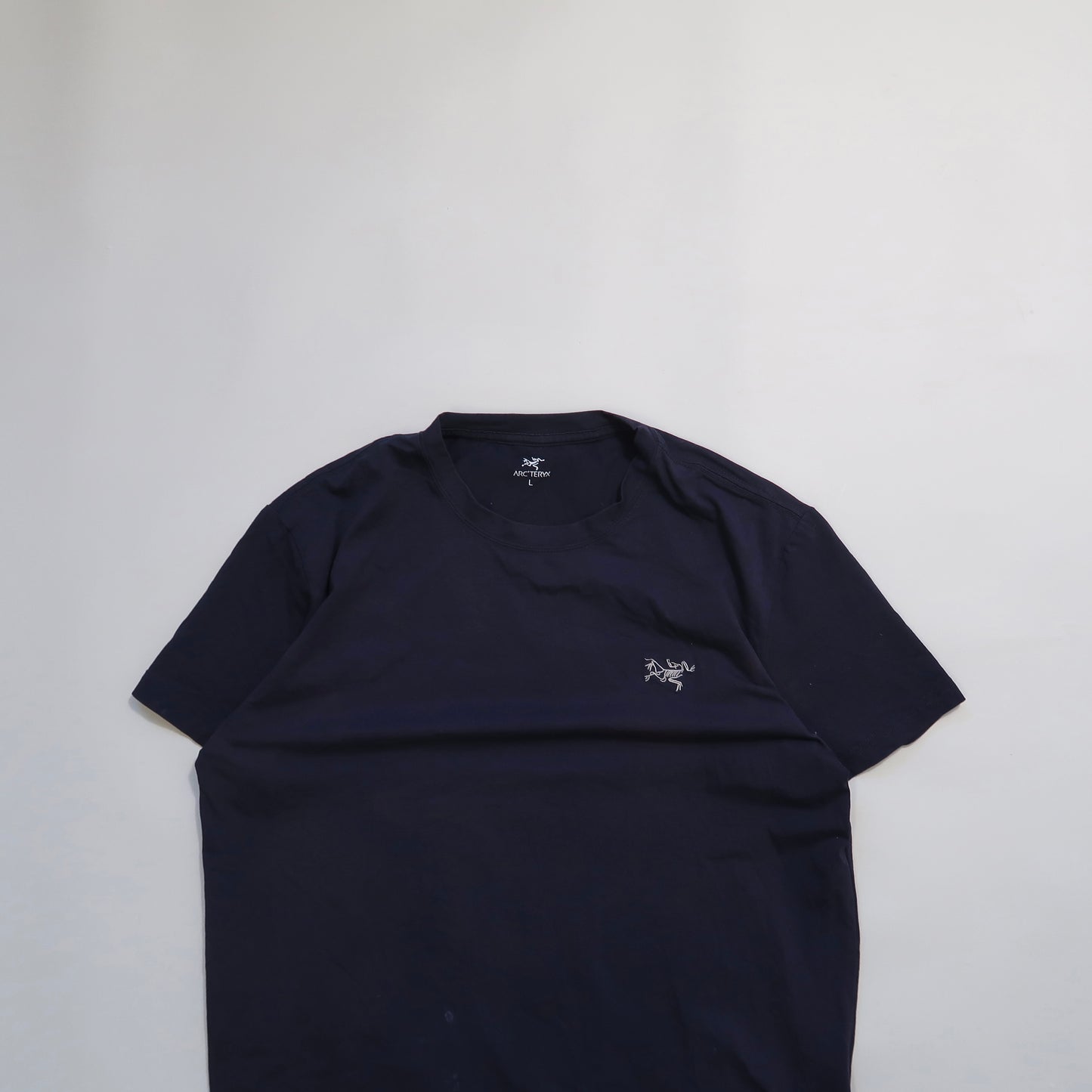 Arcterryx tshirt (sun faded)