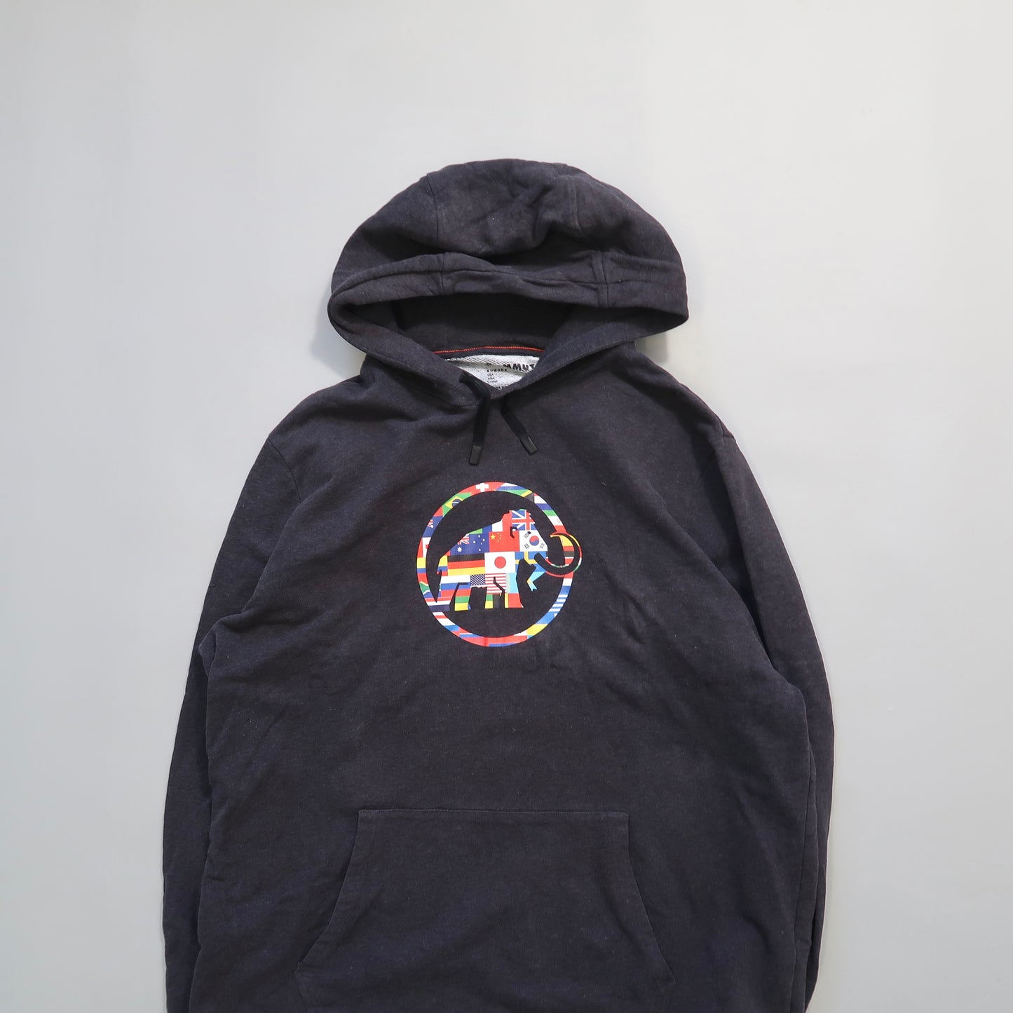 Mammut hoodie