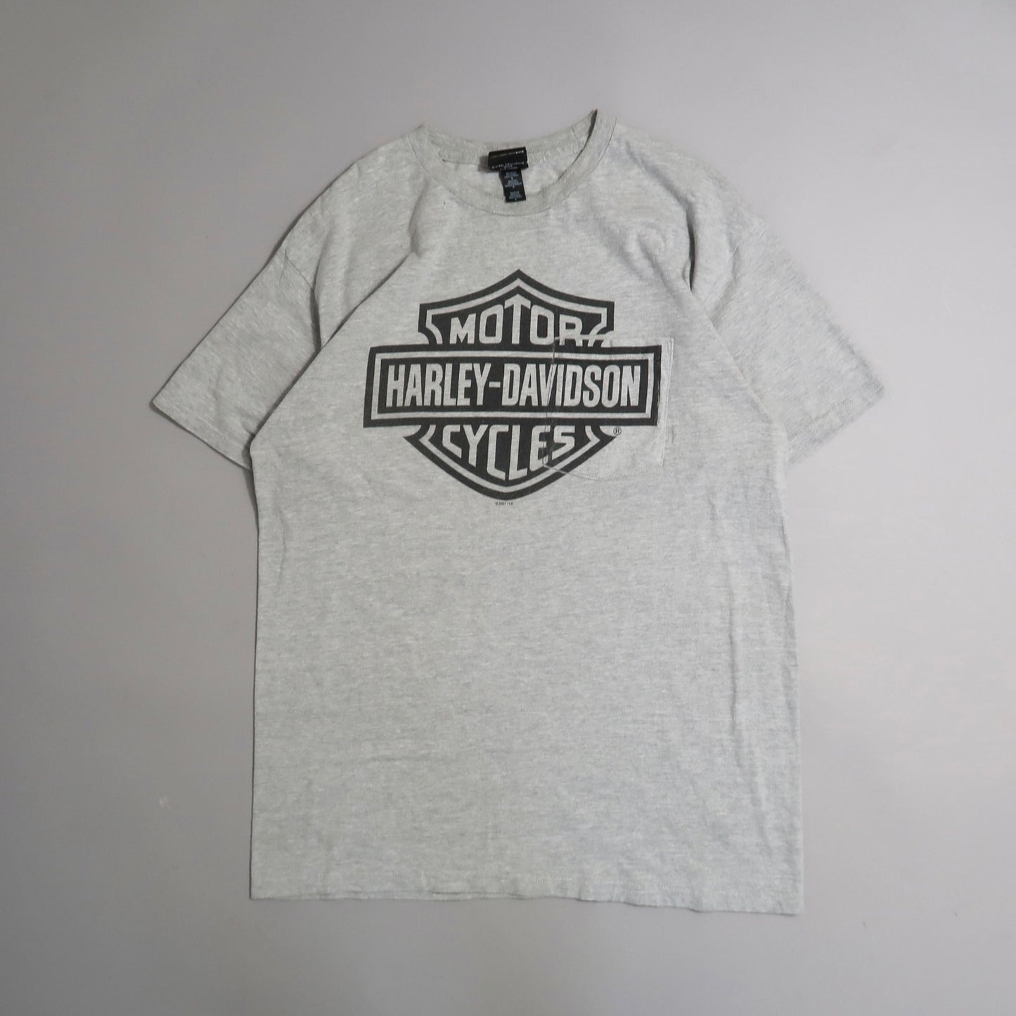 Gray T-shirt with a black Harley-Davidson Motor Cycles logo.