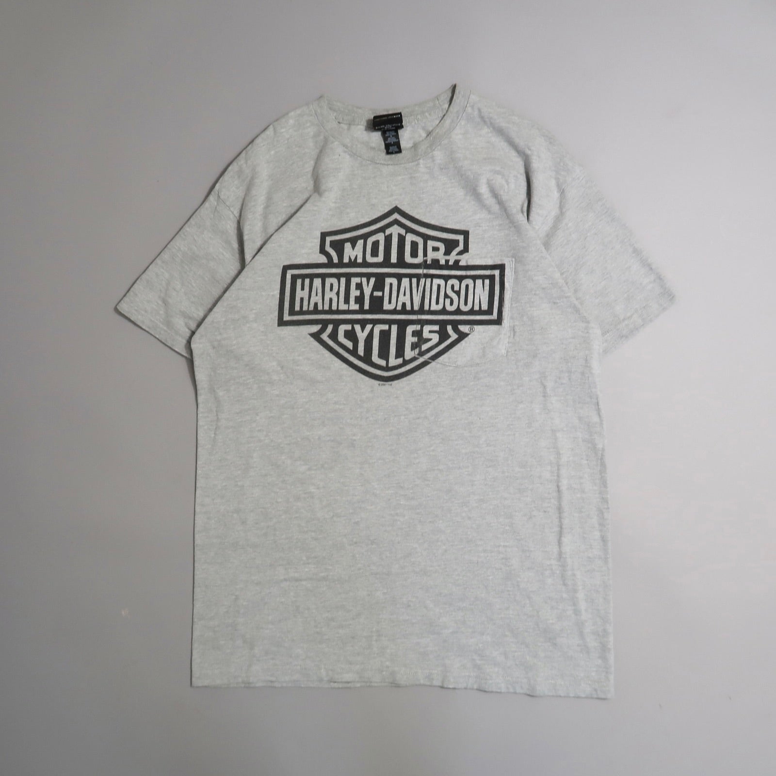 Gray T-shirt with a black Harley-Davidson Motor Cycles logo.