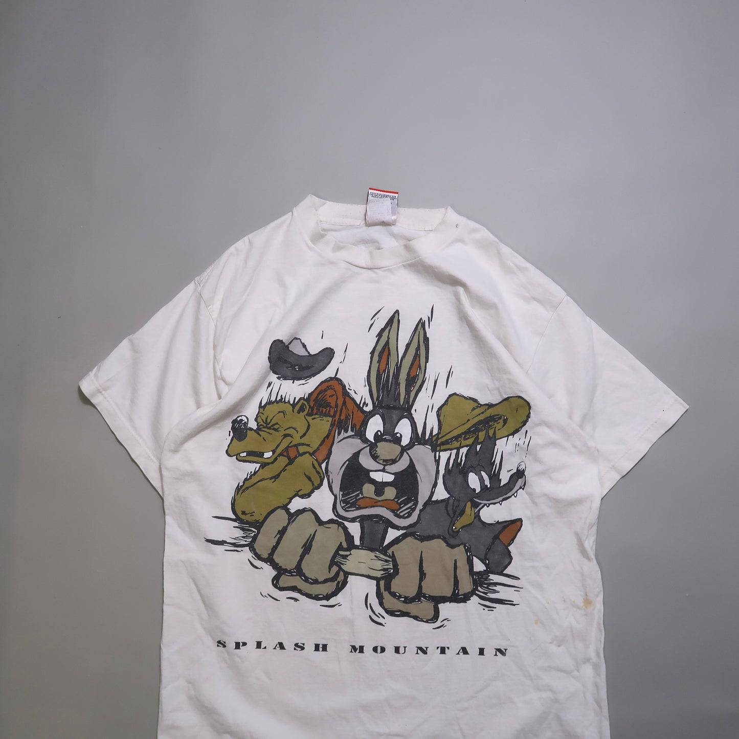 Splash Mountain Vintage tshirt
