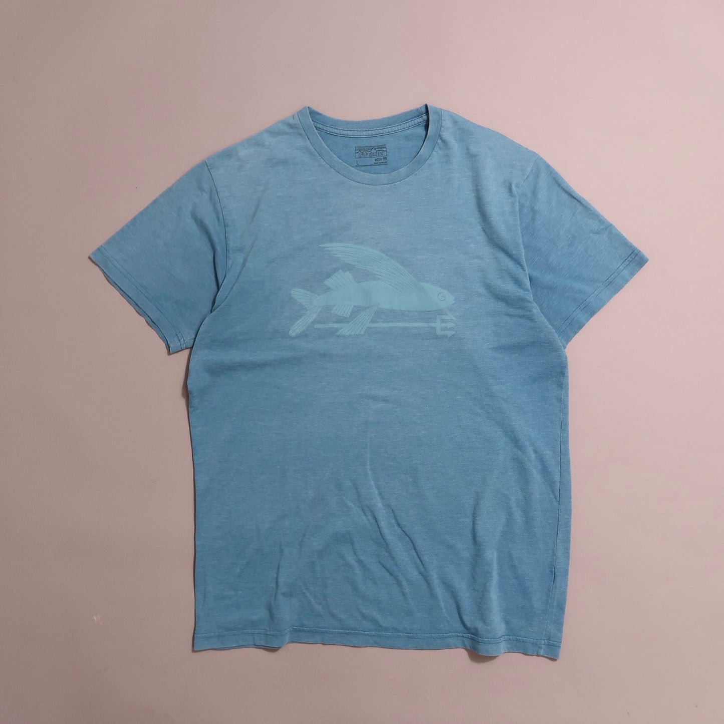 Patagonia tshirt