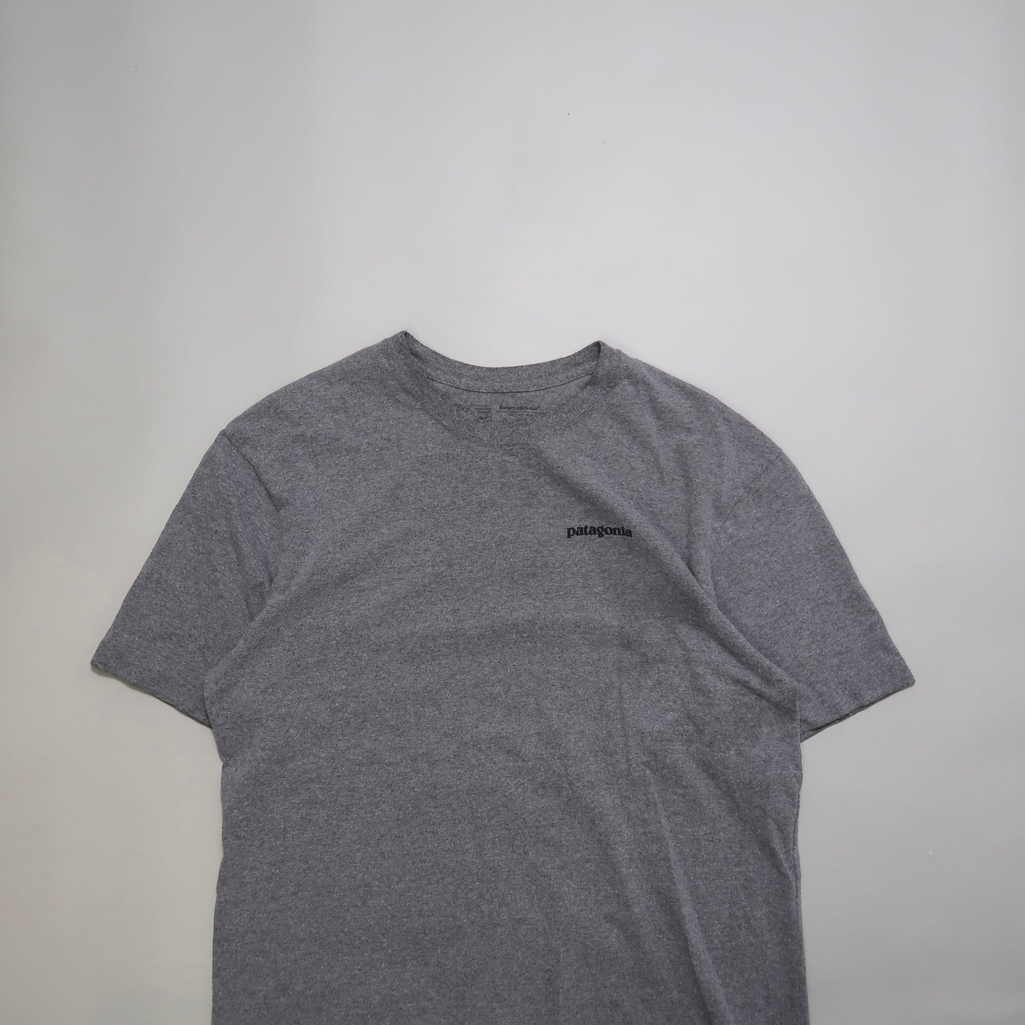 Patagonia tshirt