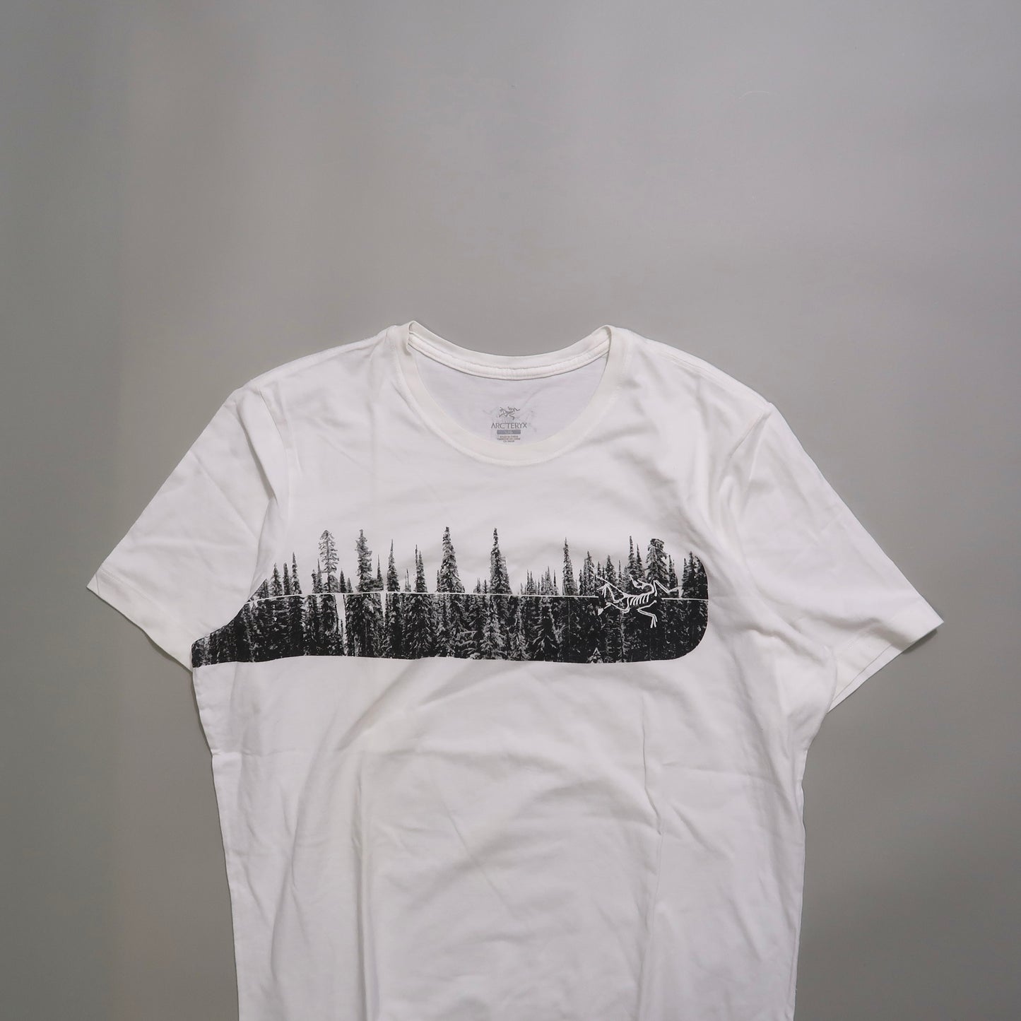 Arcterryx tshirt
