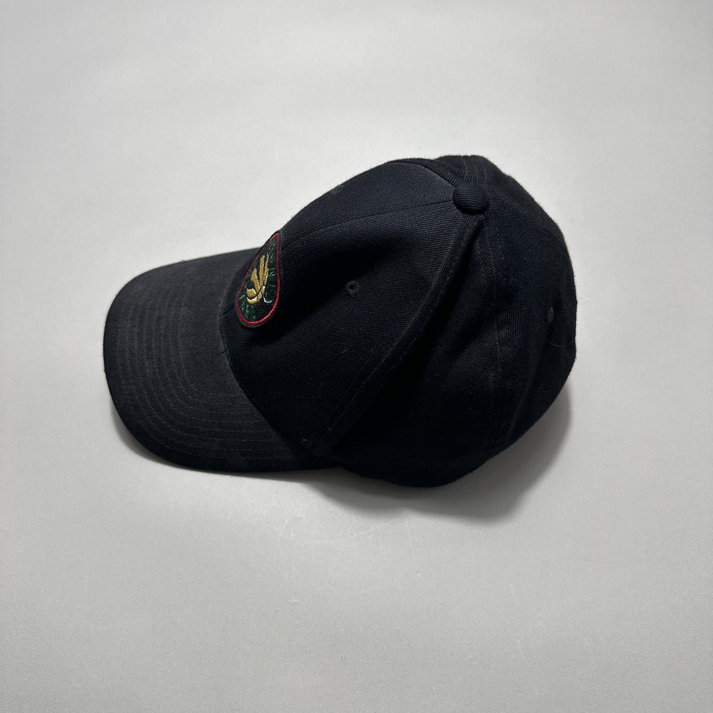Raptors cap