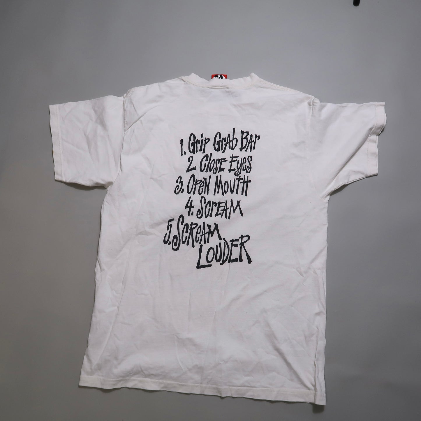 Splash Mountain Vintage tshirt