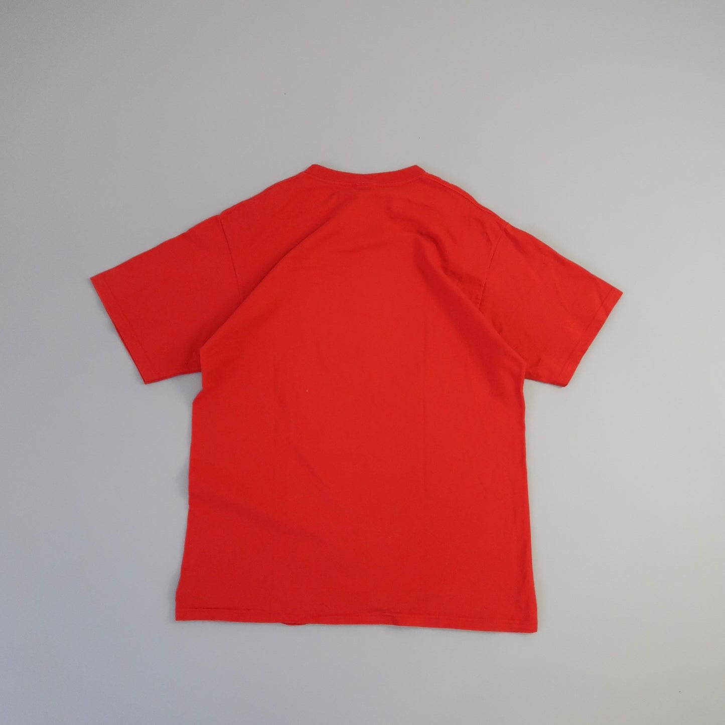 Fruit of the Loom t shirt